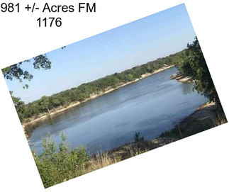 981 +/- Acres FM 1176