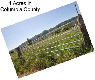 1 Acres in Columbia County