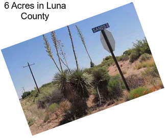 6 Acres in Luna County