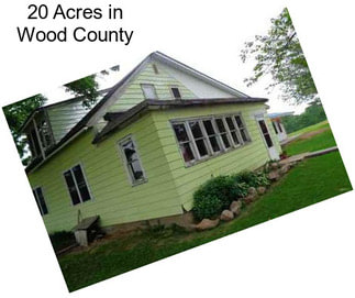 20 Acres in Wood County