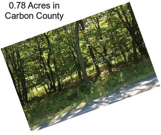 0.78 Acres in Carbon County