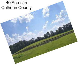 40 Acres in Calhoun County