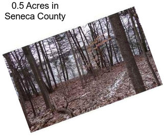 0.5 Acres in Seneca County