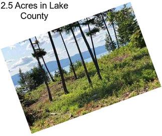 2.5 Acres in Lake County
