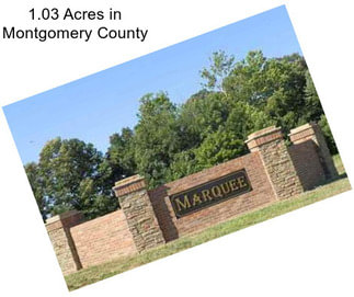1.03 Acres in Montgomery County
