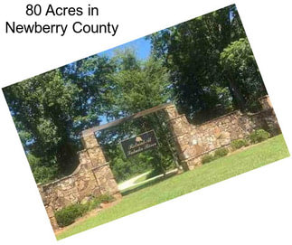 80 Acres in Newberry County