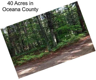 40 Acres in Oceana County