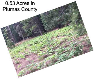 0.53 Acres in Plumas County