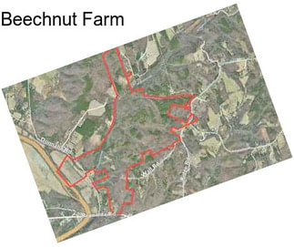 Beechnut Farm