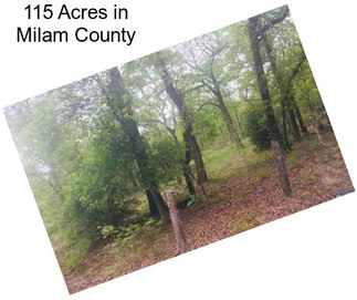 115 Acres in Milam County