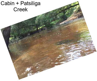 Cabin + Patsiliga Creek