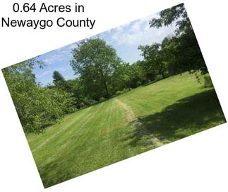 0.64 Acres in Newaygo County