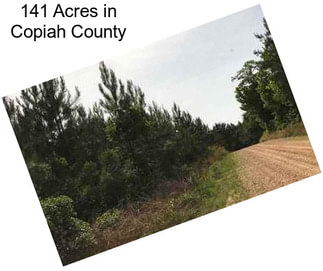 141 Acres in Copiah County