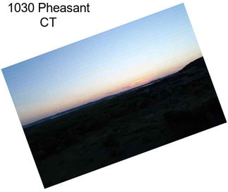 1030 Pheasant CT