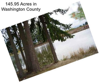 145.95 Acres in Washington County