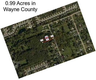 0.99 Acres in Wayne County
