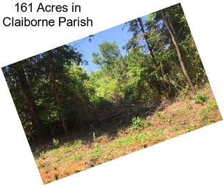 161 Acres in Claiborne Parish