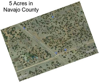 5 Acres in Navajo County