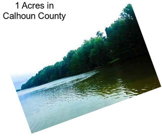 1 Acres in Calhoun County