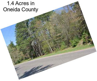 1.4 Acres in Oneida County