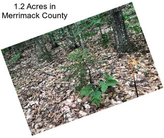 1.2 Acres in Merrimack County
