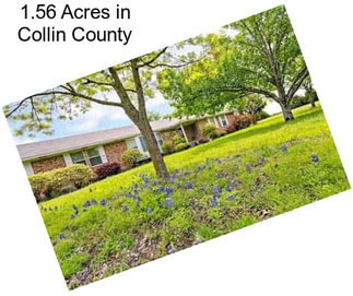 1.56 Acres in Collin County