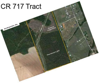 CR 717 Tract