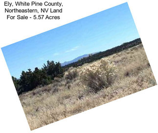 Ely, White Pine County, Northeastern, NV Land For Sale - 5.57 Acres