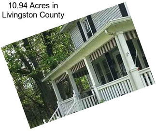10.94 Acres in Livingston County