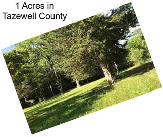 1 Acres in Tazewell County