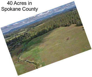 40 Acres in Spokane County