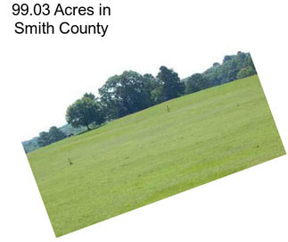 99.03 Acres in Smith County