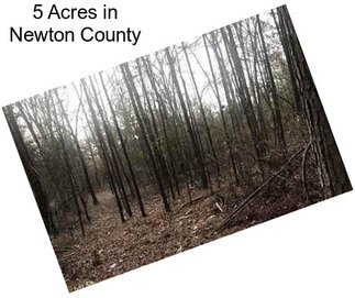 5 Acres in Newton County