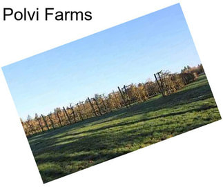 Polvi Farms