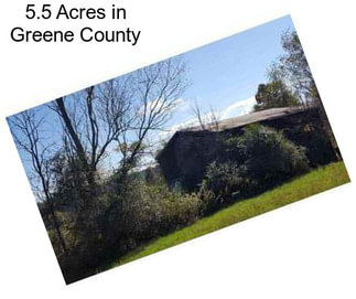 5.5 Acres in Greene County