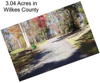 3.04 Acres in Wilkes County