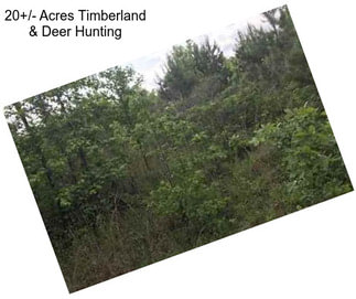 20+/- Acres Timberland & Deer Hunting