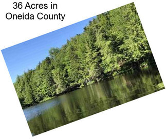 36 Acres in Oneida County