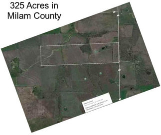 325 Acres in Milam County
