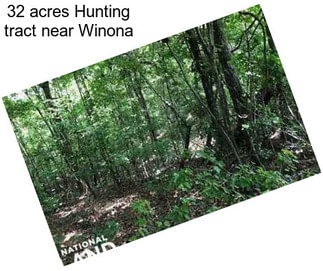32 acres Hunting tract near Winona