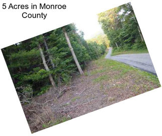 5 Acres in Monroe County