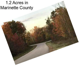 1.2 Acres in Marinette County