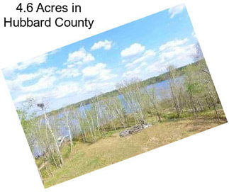 4.6 Acres in Hubbard County