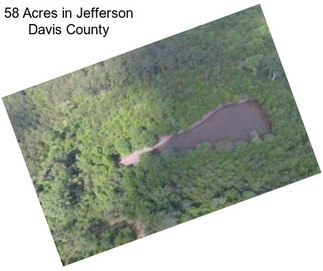 58 Acres in Jefferson Davis County