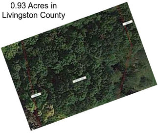 0.93 Acres in Livingston County