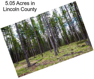5.05 Acres in Lincoln County