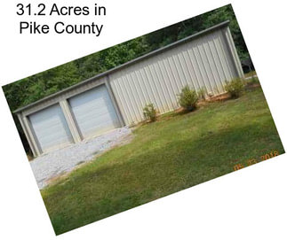 31.2 Acres in Pike County