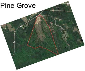 Pine Grove