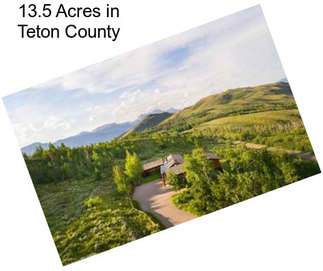 13.5 Acres in Teton County