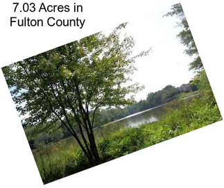 7.03 Acres in Fulton County